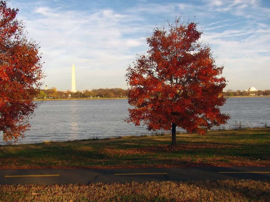 washington dc, virginia, washington monument, fall, autumn, trees, foliage, leaves, nature, outside, river, water, washington dc, washington dc, washington dc, washington dc, washington dc